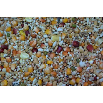 Gold Wings Champion karma lotowa dla gołebi 20kg